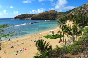 HNL