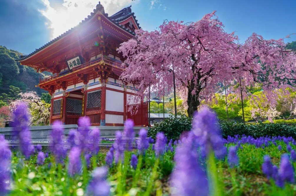 [오사카 3일] 설렘 한 스푼, 즐거움 두 스푼! 오사카 여행의 정석 #1일자유 