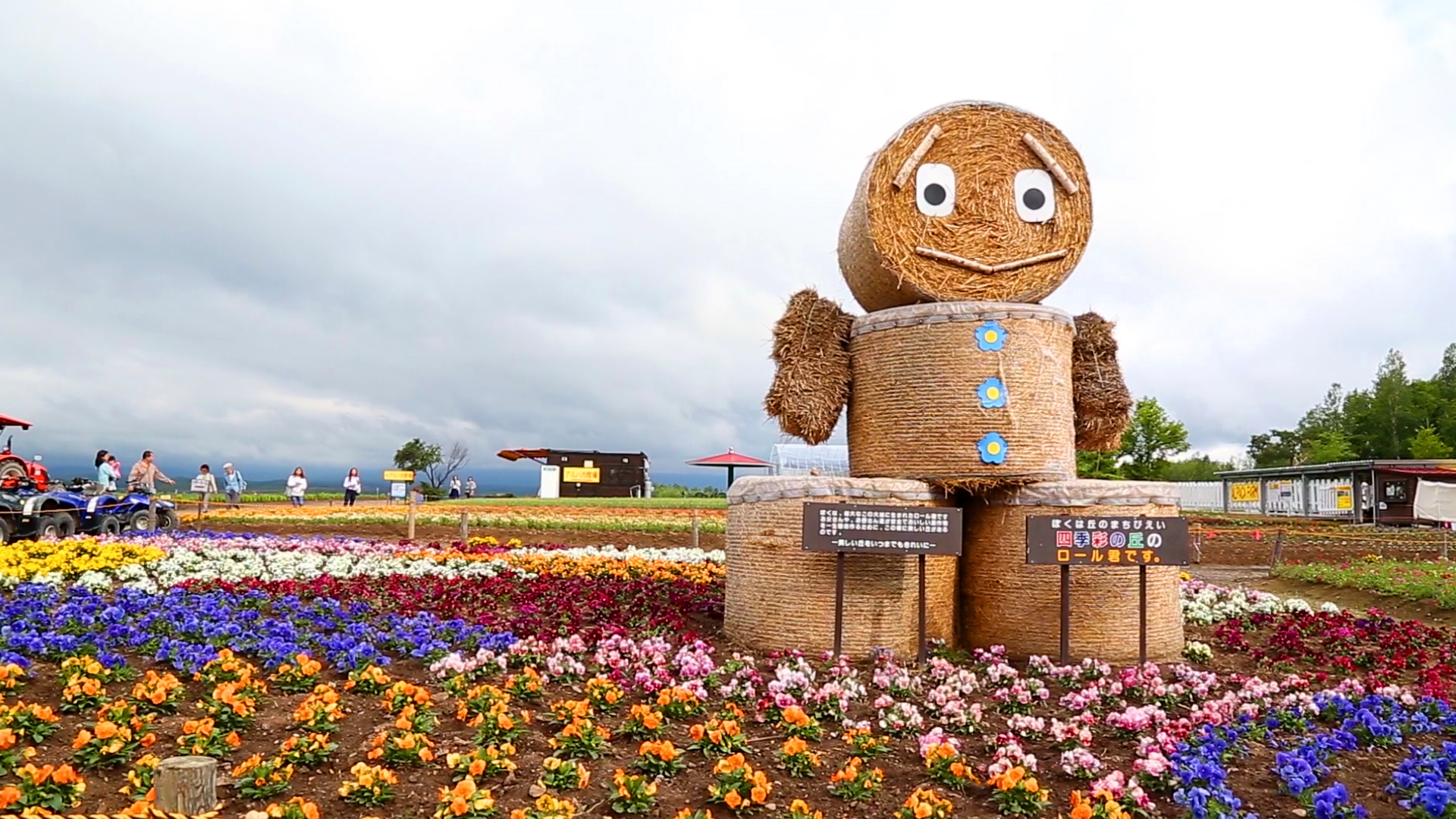 [대한항공 전세기] 화려한 북해도의 여름, 후라노/비에이 우에노팜 Flower Garden 5일