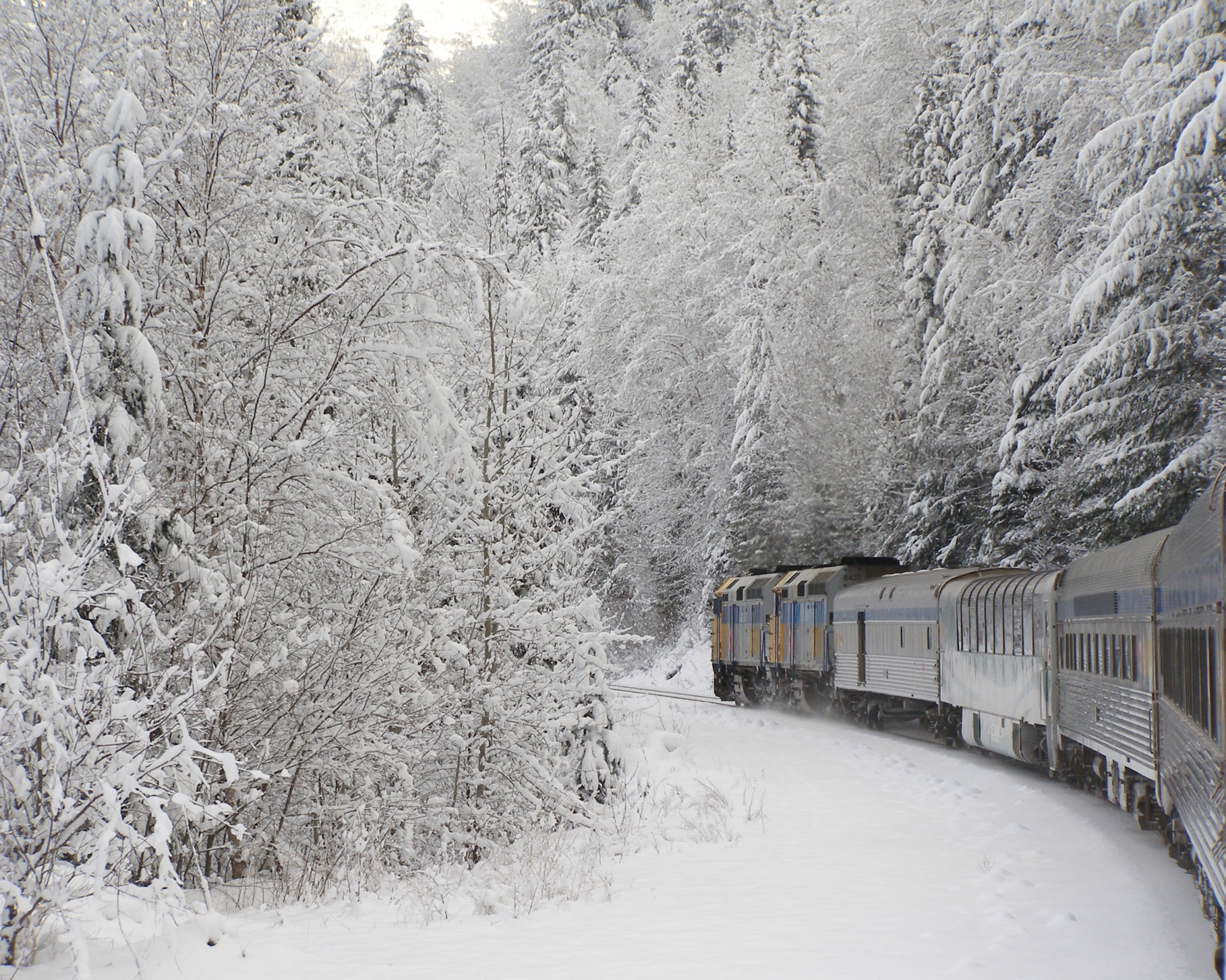 ♥단독캐빈업그레이드+곤돌라포함♥ 시애틀+로키3대국립공원 눈꽃열차 비아레일 8일