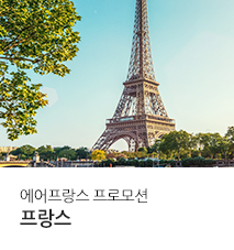 [항공프로모션] 롯데홈쇼핑 에어프랑스 기획전