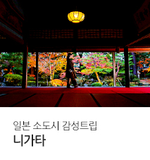 [홈쇼핑] 니가타 홈쇼핑 기획전