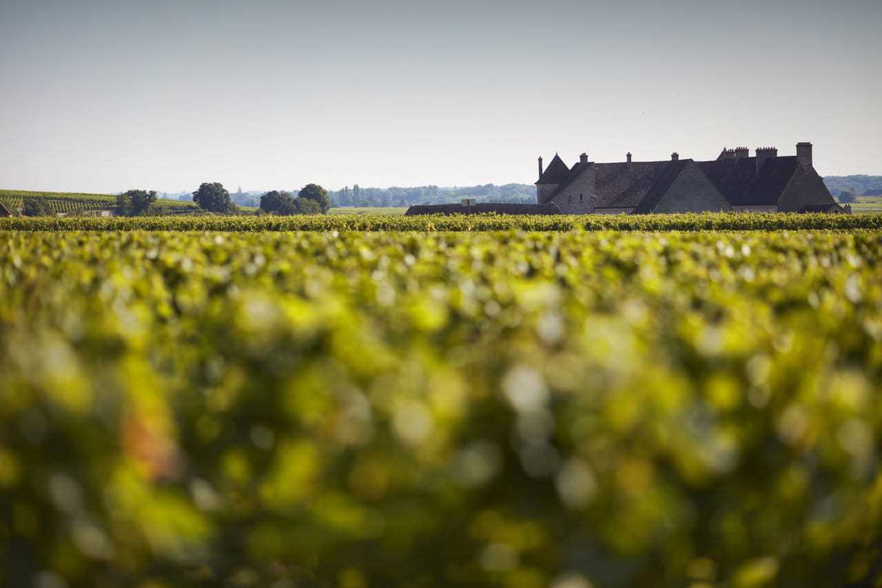 샤토 끌로드 부조2.jpg