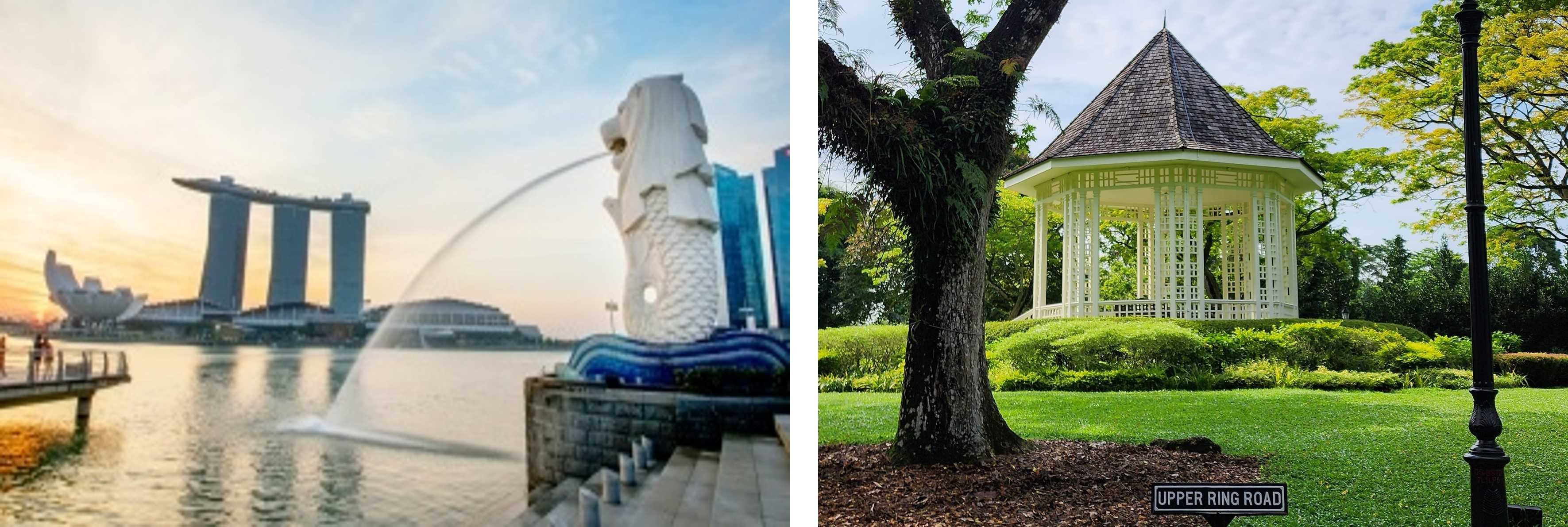 싱가포르 (머라이언 보타닉)