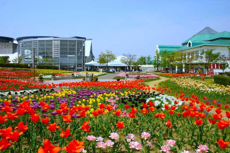 faf8fabaaf235d5db8b780ed021de8eb