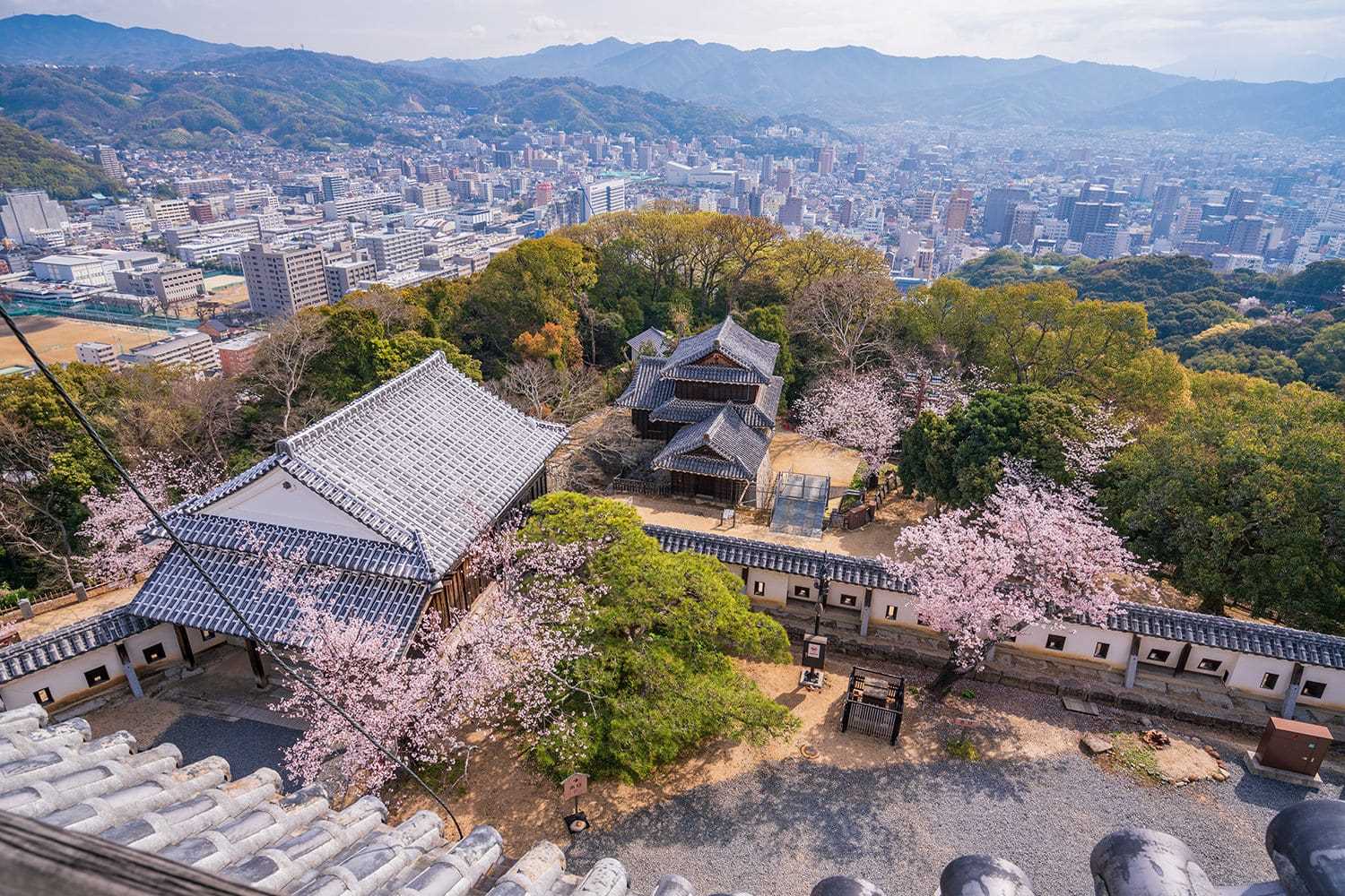 마츠야마성 전경.jpg