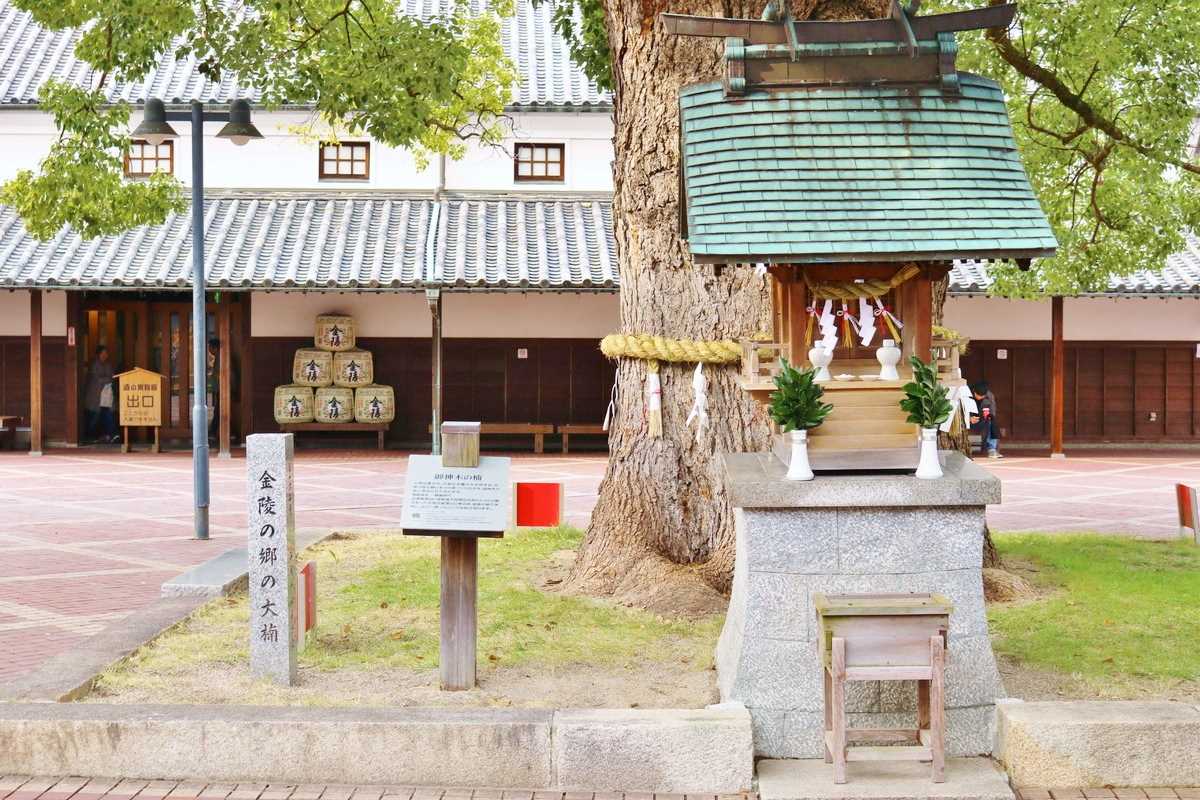 Kinryono_sato (6).jpg