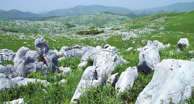 fea894cc486a41ece0c94c8c995de226