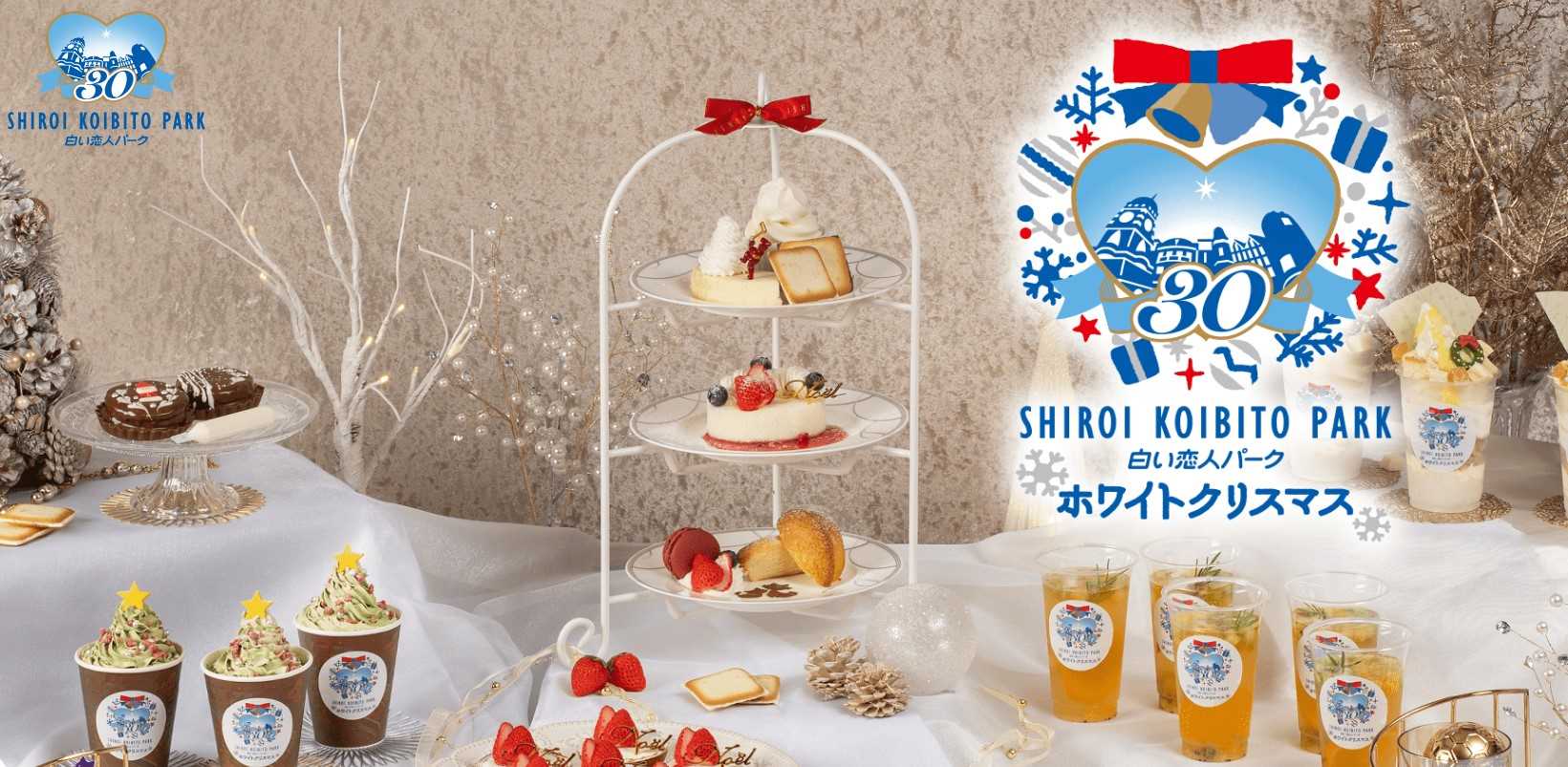 시로이코이비토