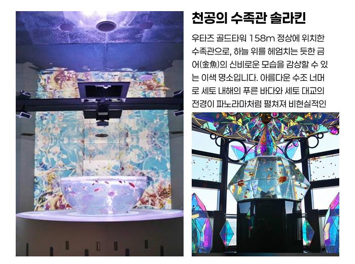 천공의 수족관 솔라킨.png