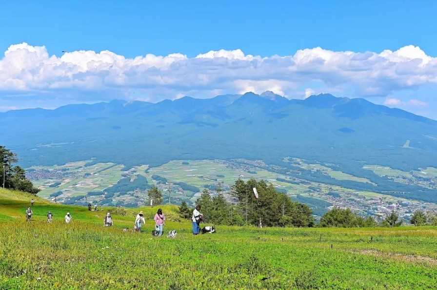 화면 캡처 2026-02-06 211330