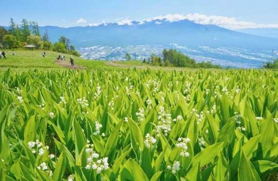 화면 캡처 2026-02-06 211413