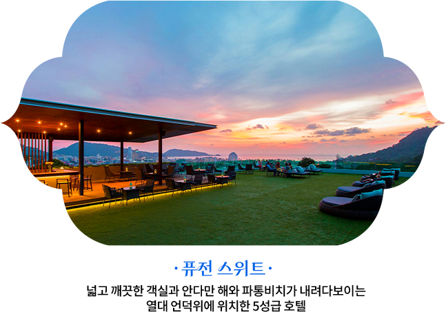 퓨전 스위트
