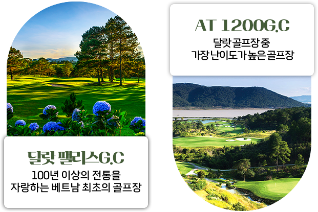 골프