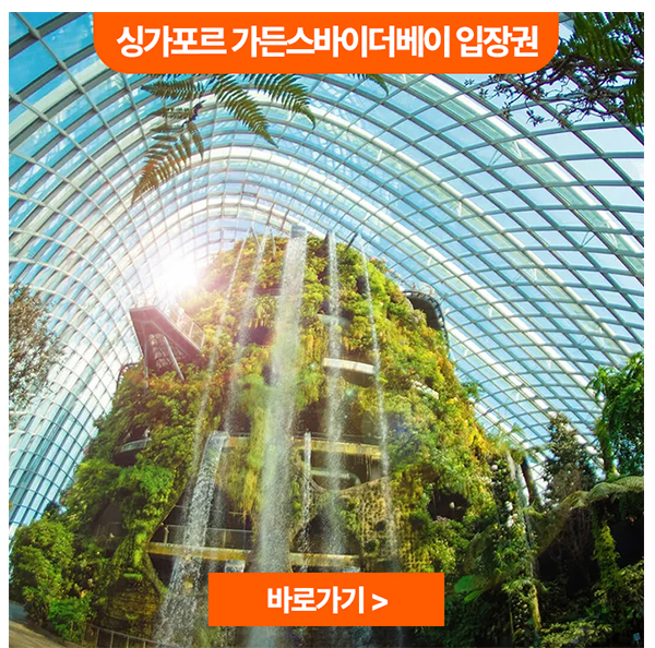 싱가포르 가든스바이더베이 입장권