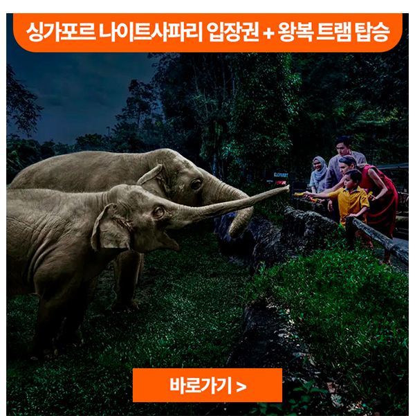 싱가포르 나이트사파리 입장권+왕복 트램 탑승
