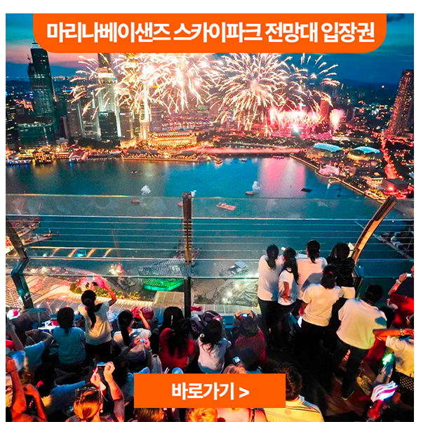 마리나베이샌즈 스카이파크 전망대 입장권