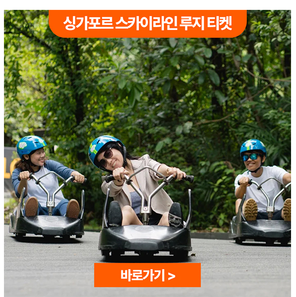 싱가포르 스카이라인 루지 티켓