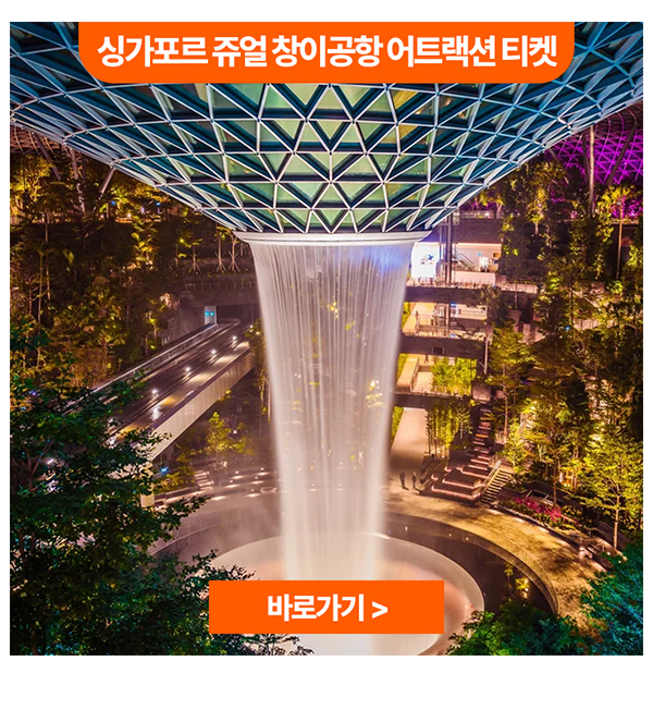 싱가포르 쥬얼 창이공항 어트랙션 티켓
