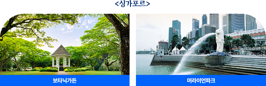 싱가포르