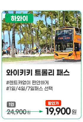 와이키키 트롤리 패스