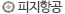 피지 항공